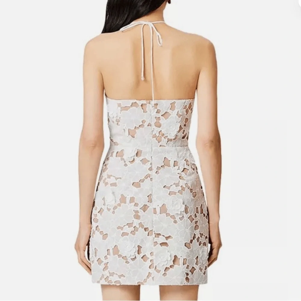 Elliatt Seafarer Lace Halter Mini Dress - Picture 5 of 5